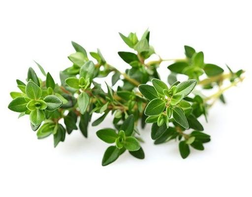 Xạ Hương 20g DHF