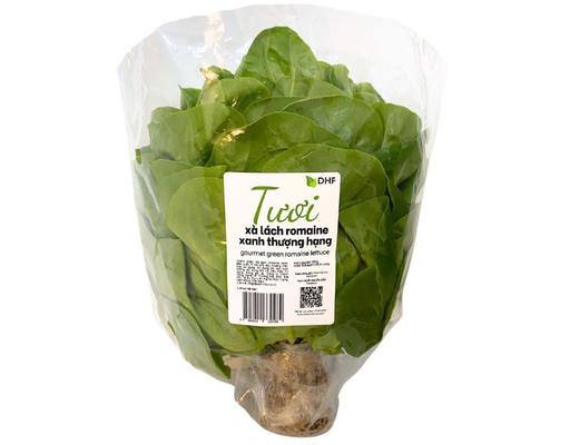 Xà Lách Romaine Xanh Thượng Hạng 200g DHF