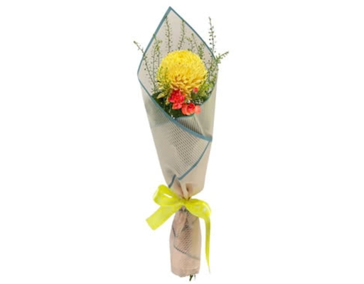 [Hàng Đặt Trước] Hoa Mix Hạnh Phúc M (Giao Mẫu Ngẫu Nhiên) Dalat Hasfarm