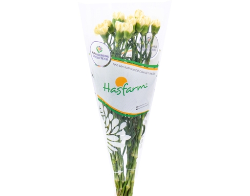 Hoa Cẩm Chướng Đơn 300g Dalat Hasfarm