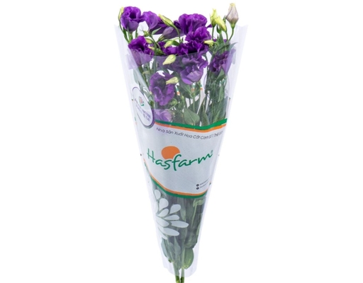 Kiết Tường Dalat Hasfarm