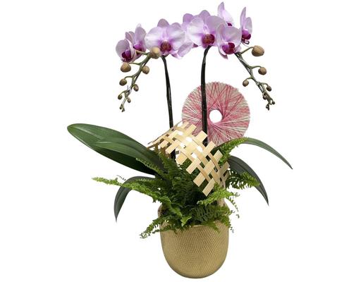 [Hàng Đặt Trước] Bó Hoa Bouquet 380 (Giao Mẫu Ngẫu Nhiên) Dalat Hasfarm