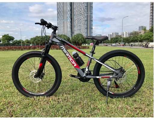 Xe Đạp Địa Hình MTB Size 24-2022 Mi24 (Note chọn màu) Royal Baby