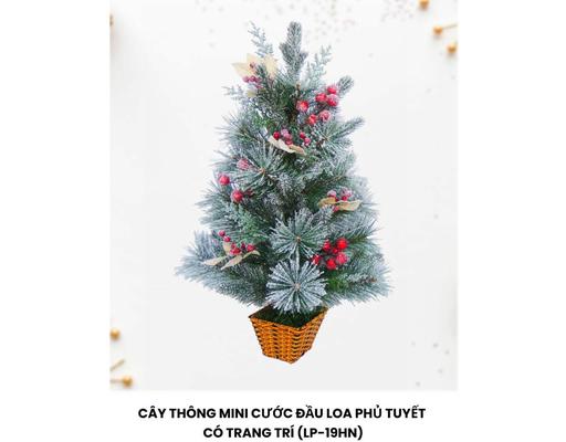 Cây Thông Mini 60cm 19HN Chaang Chiia